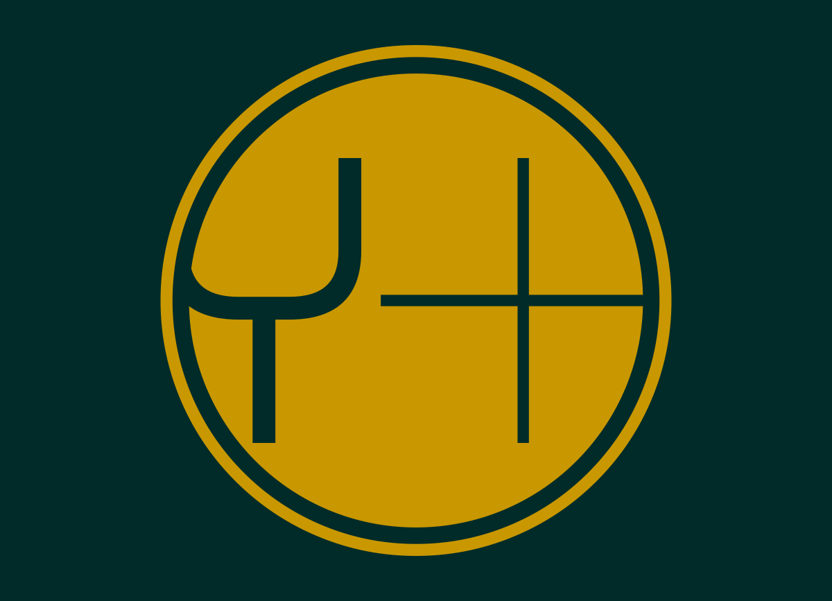 Logo couleur Ypplus
